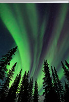 Northern lights, aurora borealis, thank you card