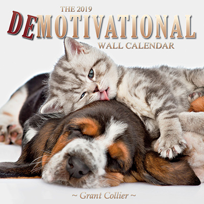 The 2019 Demotivational Wall Calendar