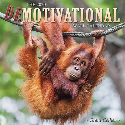 The 2020 Demotivational Wall Calendar