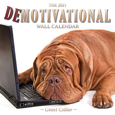 The 2021 Demotivational Wall Calendar