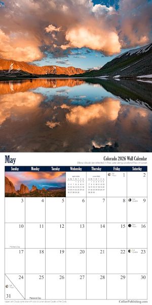 Wildflowrs below Crested Butte