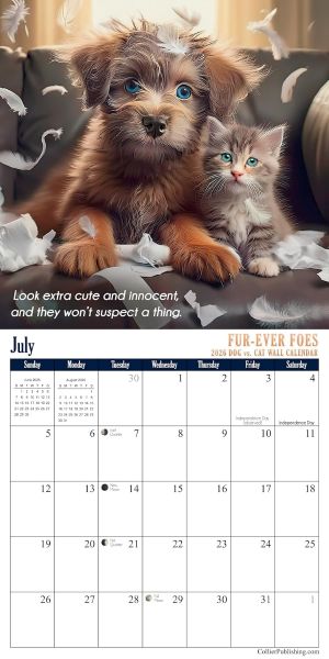 funny dog and cat calendar